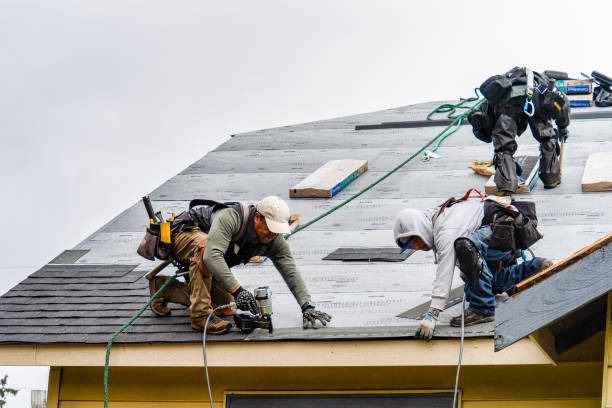 Professional Storm Damage Roof Repair technician working in Columbus, KS